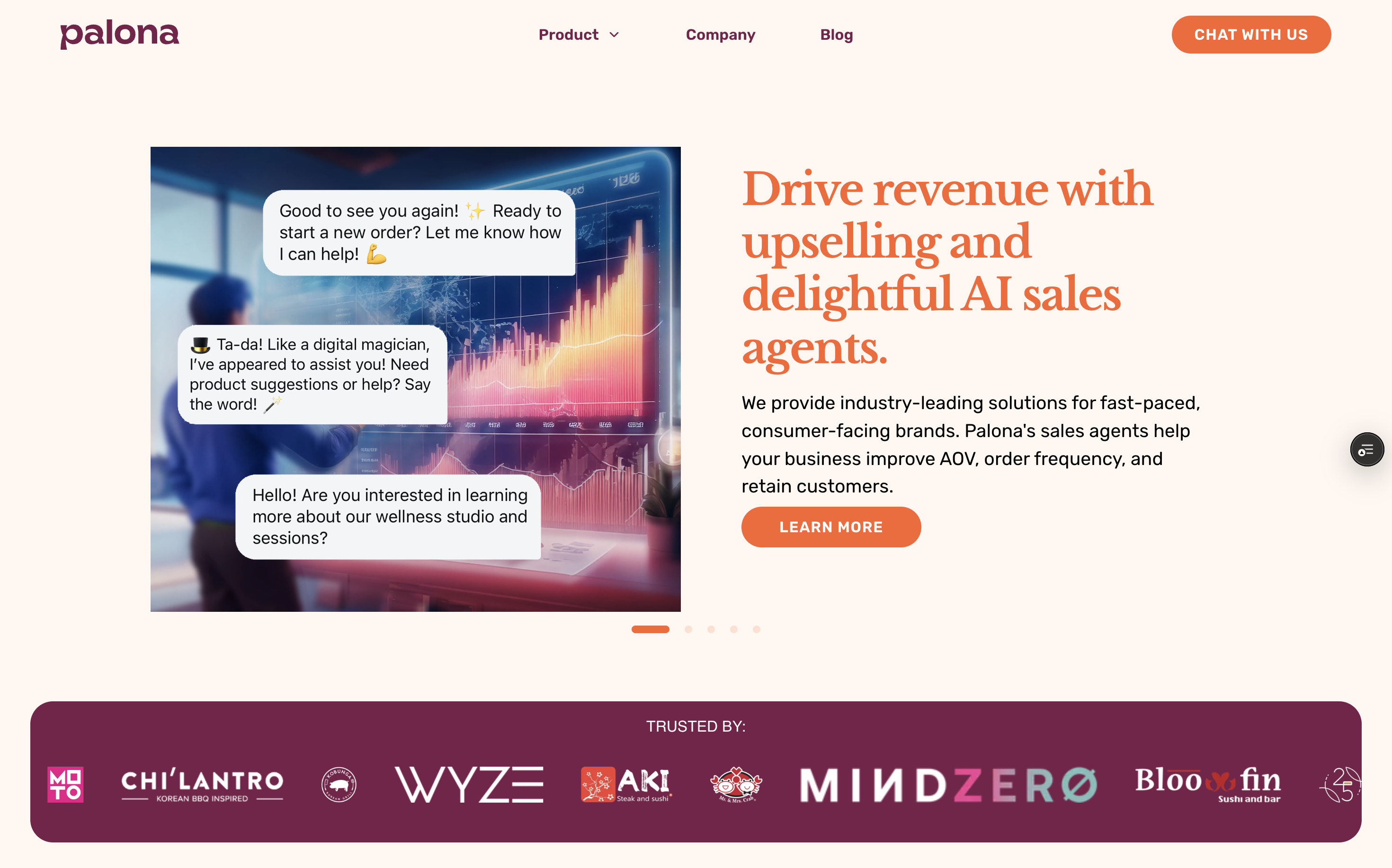 Old Palona landing page